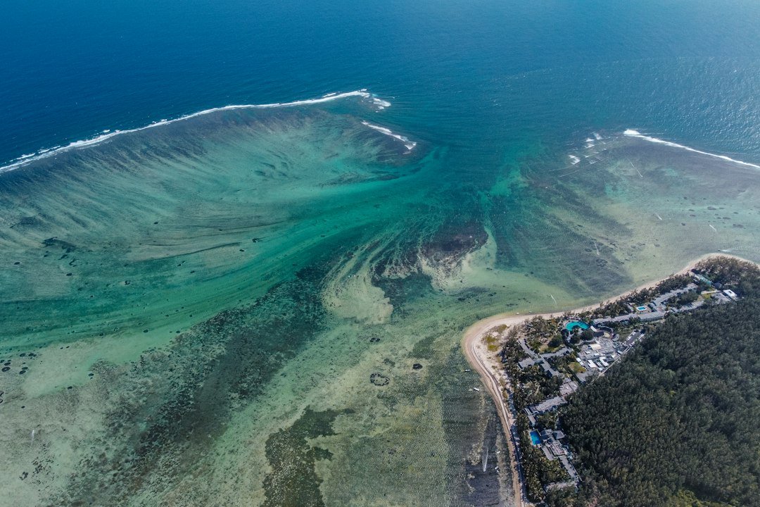 aerial view of a beach and ocean